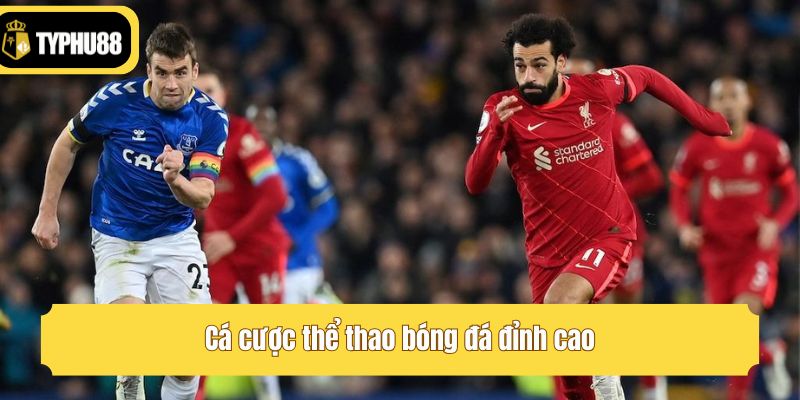 Cá cược thể thao bóng đá đỉnh cao